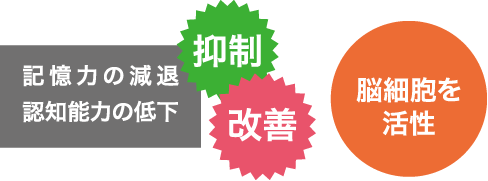 脳細胞を活性させることで、記憶力の減退や認知能力の低下を抑制・改善します。