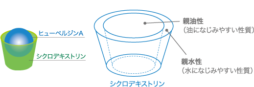 シクロデキストリンの分子は、バケツのような少し片方の端が狭くなった円筒形をしており、その内部が疎水性、外部が親水性を示します。